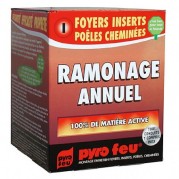 Ramonage annuel - CHEMINETT-15621