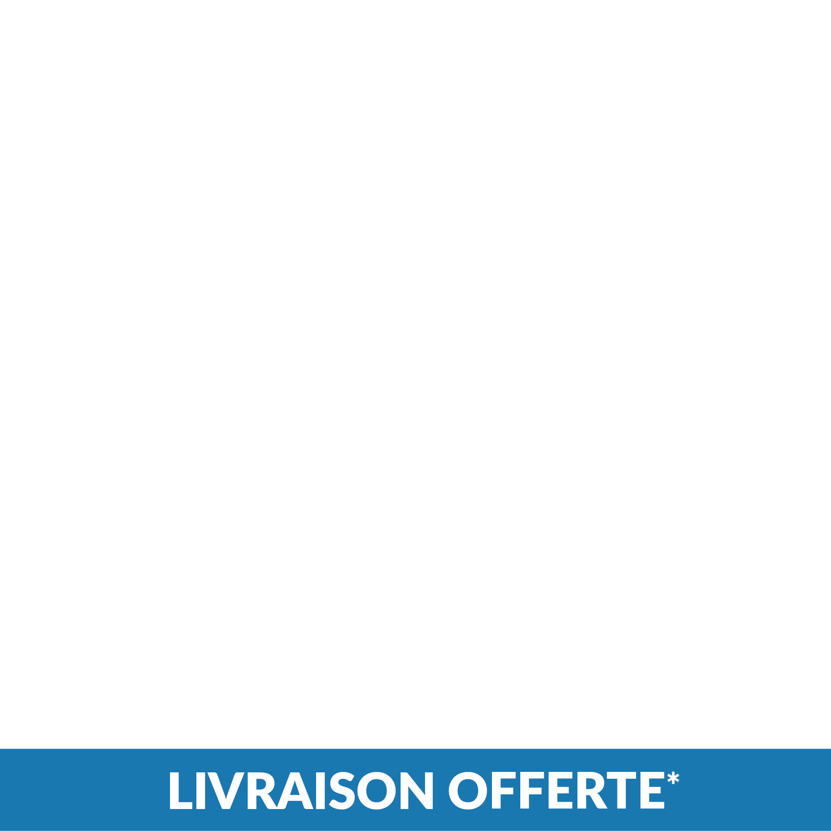 Radiateur à fluide caloporteur ACOVA Altima vertical 