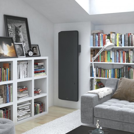 Radiateur Fonte THERMOR Equateur 3 Vertical Gris