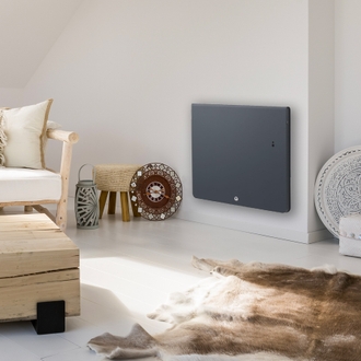 Radiateur Fonte THERMOR Equateur 4 Horizontal Gris