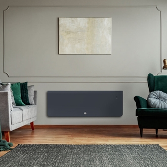 Radiateur Fonte THERMOR Equateur 4 Plinthe Gris