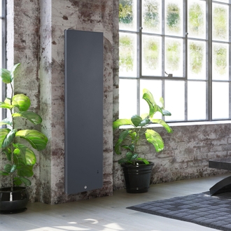 Radiateur Fonte THERMOR Equateur 4 Vertical Gris